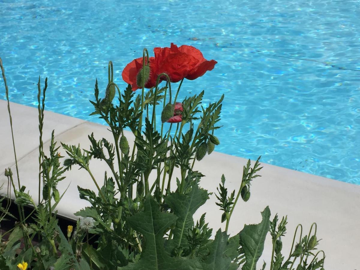 Nido D'Amore Dernice Dış mekan fotoğraf